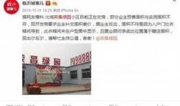 长春绿园区最新爆料,揭秘区域发展新动向与亮点